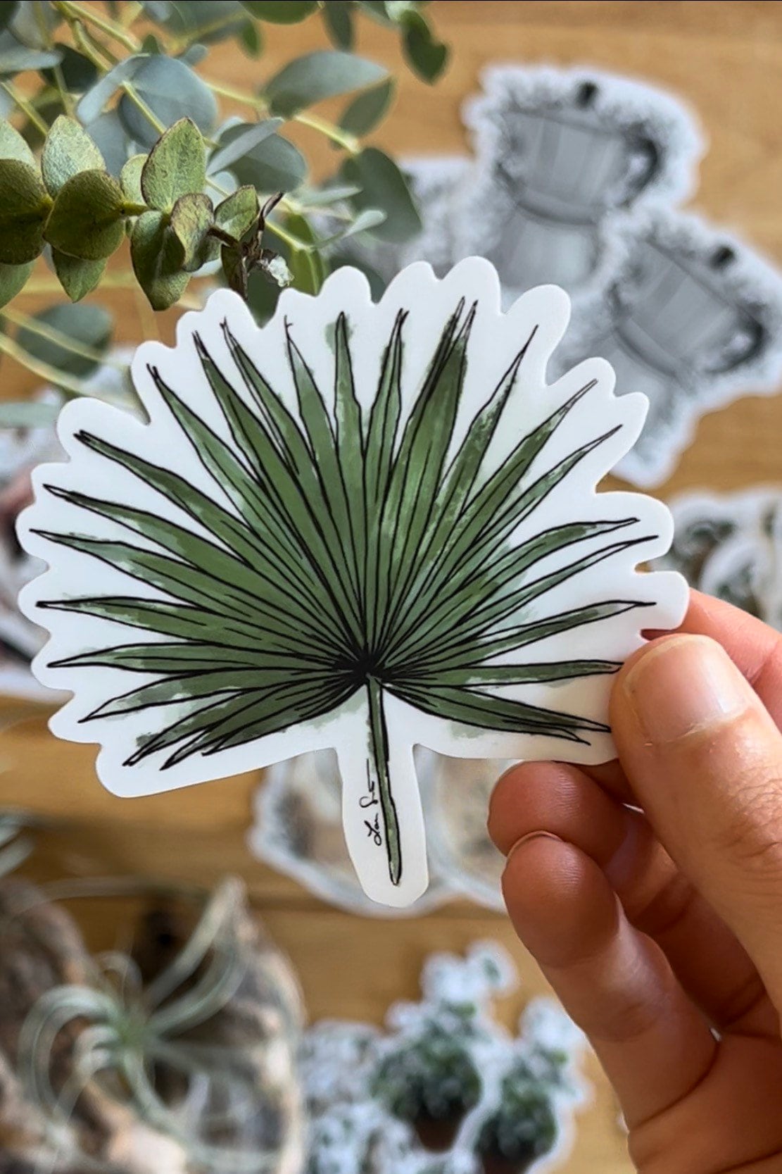 Fan Palm Leaf Sticker