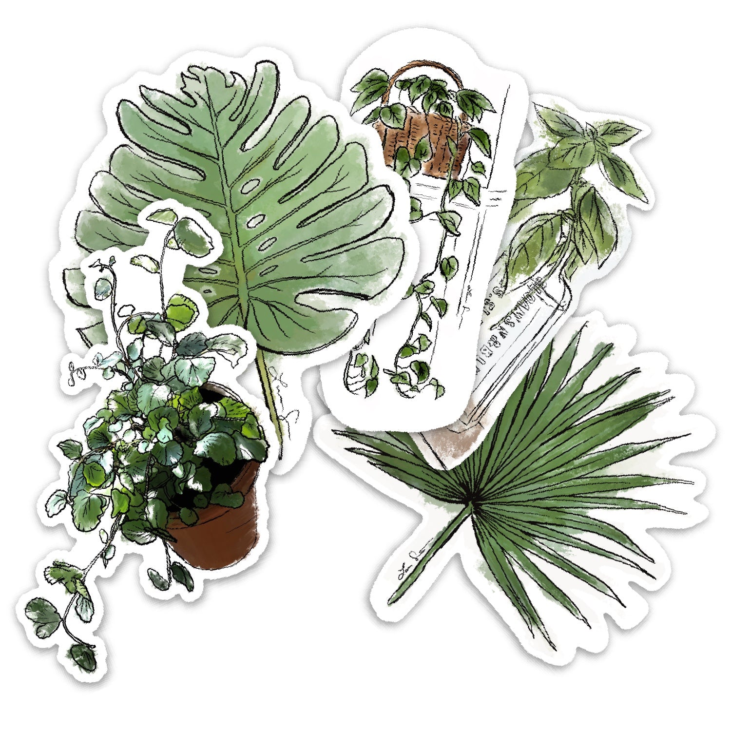 Virtual Plant Sticker Plant Life Sticker Bundle – Flourish + Fern