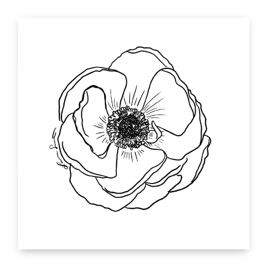Anemone Floral Art Print