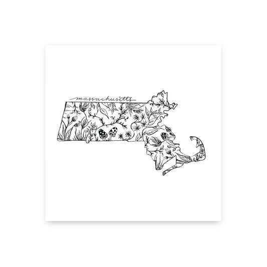 Massachusetts In Bloom Art Print