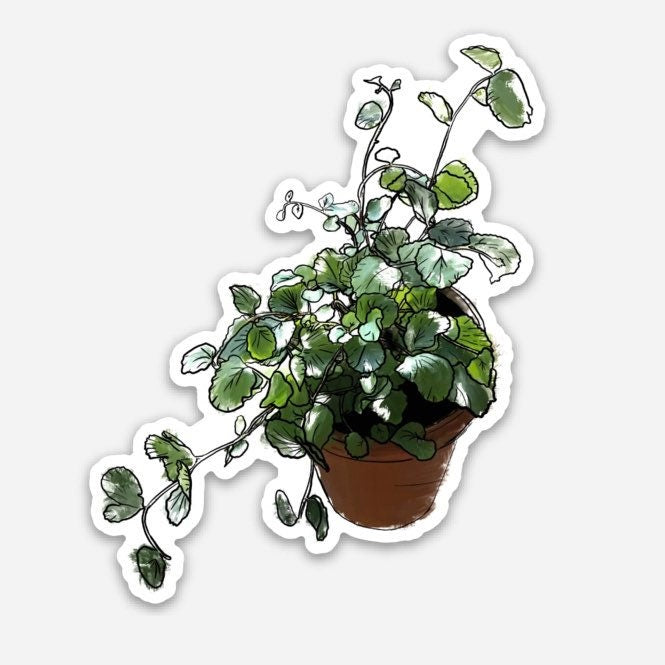 Little Potted Plant | Vinyl Sticker